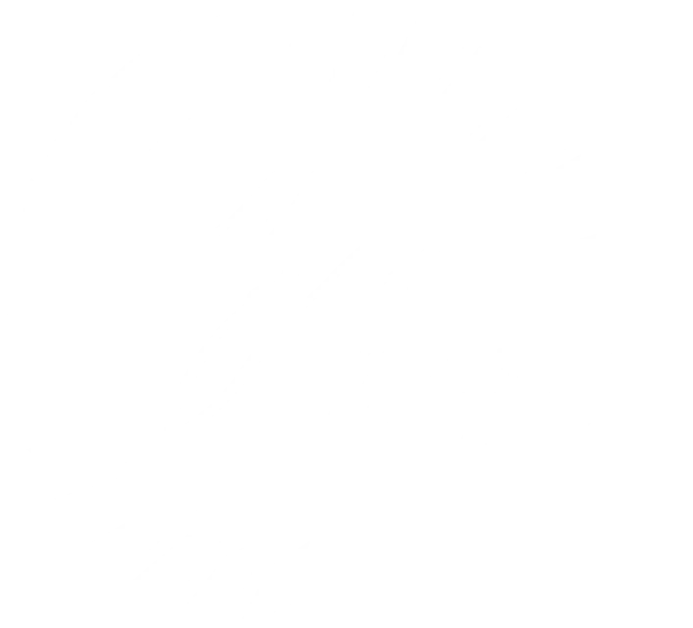 Yannick Mettler